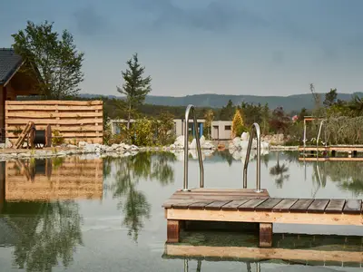 Ferienhaus für 2 Personen (40 m²) in Schiltern bei Langelois 8/9