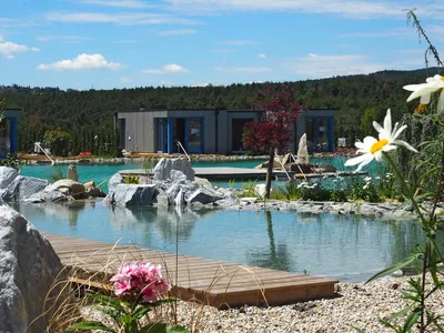 Ferienhaus für 2 Personen (40 m²) in Schiltern bei Langelois 2/10