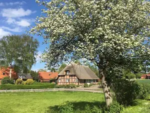 Ferienhaus für 6 Personen (104 m²) in Schmiedendorf