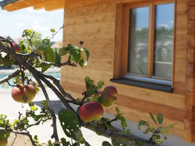 Ferienhaus für 4 Personen (80 m²) in Schiltern bei Langelois 7/10