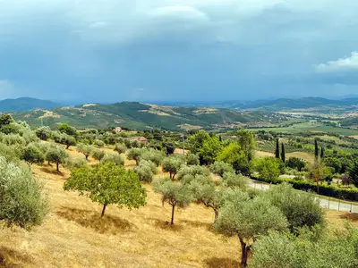 view-from-room