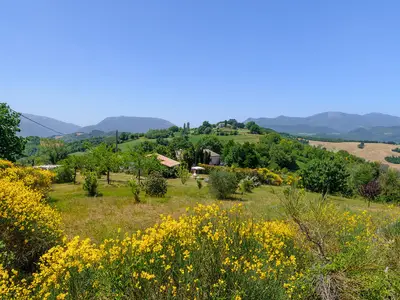 view-from-room