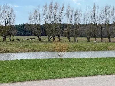 view-from-room