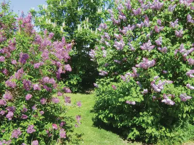 outside