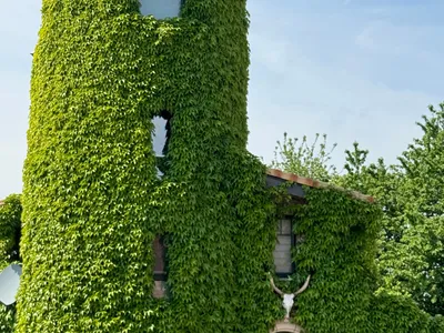 Ferienhaus für 4 Personen (80 m²) in Stadt Voerde (Niederrhein) 1/10