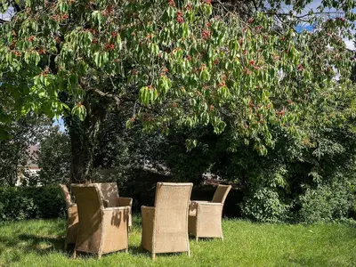 Ferienhaus für 10 Personen (200 m²) in Befort 2/10