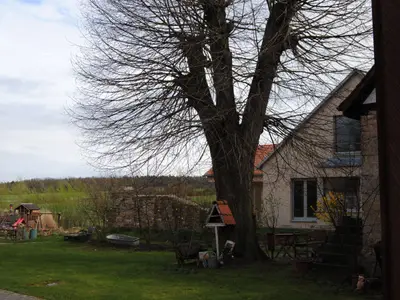 Ferienhaus für 5 Personen (130 m²) in Obergrunstedt 4/10