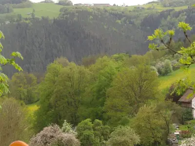 Blick von Terrasse