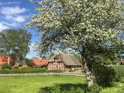 Ferienhaus für 6 Personen (104 m²) in Schmiedendorf 1/10