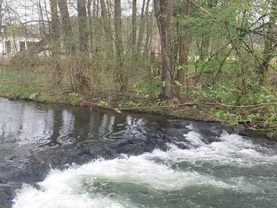 Fluss
