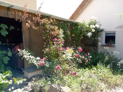 Ferienhaus für 4 Personen (90 m²) in Rödelmaier 7/10
