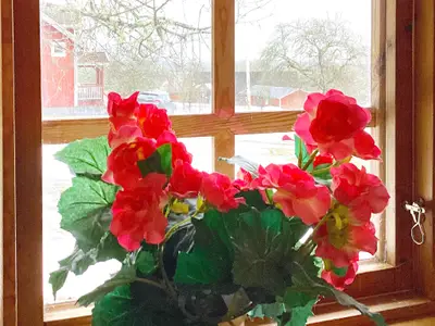 Indoor