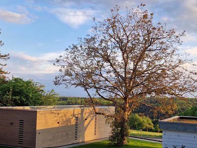 Blick vom Garten auf Tinyhaus