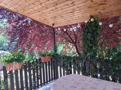 Ferienhaus für 6 Personen (120 m²) in Agárd 2/10