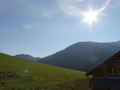 ViewSummer
