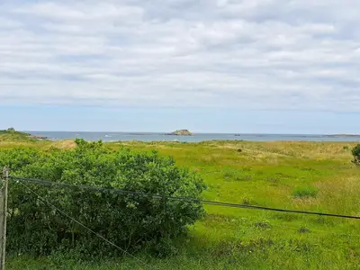 ViewSummer