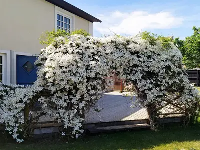 Outdoor