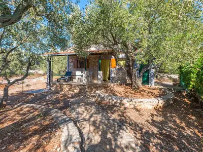 Ferienhaus für 4 Personen (45 m²) in Tkon 6/10