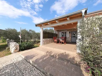 Ferienhaus für 4 Personen (56 m²) in Tkon 2/10