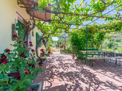 Ferienhaus für 6 Personen (100 m²) in Vrpolje 6/10