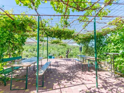 Ferienhaus für 6 Personen (100 m²) in Vrpolje 8/10
