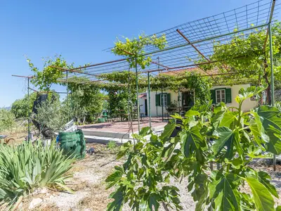 Ferienhaus für 6 Personen (100 m²) in Vrpolje 10/10