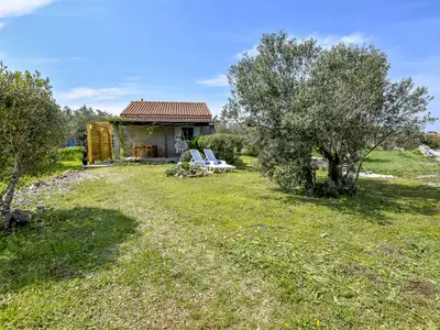 Ferienhaus für 6 Personen (45 m²) in Otočić Žižanj 7/10