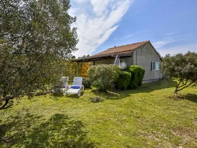 Ferienhaus für 6 Personen (45 m²) in Otočić Žižanj 8/10