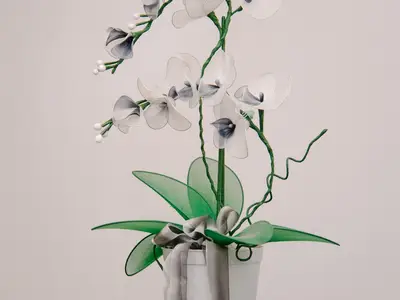 Bild 8