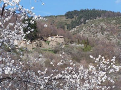 das Ferienhaus im Frühling