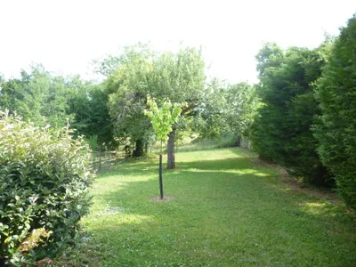 Garten. 1/3   Garten