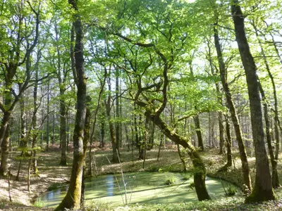 Bild 8