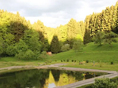 Fambach Ortsteil Heßles Ferienwohnung Nüssleshof Blick vom Teich auf den Wald