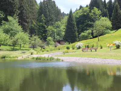 Fambach Ortsteil Heßles Ferienwohnung Nüssleshof Teich am Nüessleshof