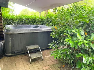 Wellness