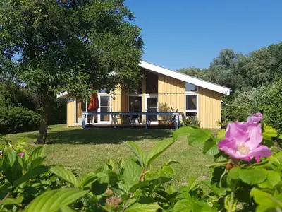Ferienhaus für 4 Personen (77 m²) in Rechlin Nord 7/7