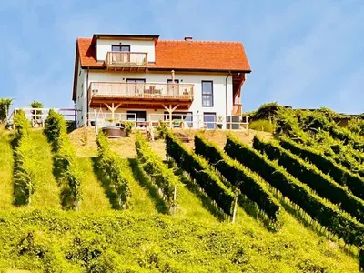Ferienhaus für 9 Personen (220 m²) in Sankt Anna am Aigen 1/10