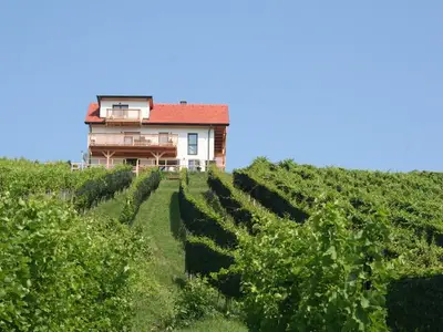 Ferienhaus für 9 Personen (220 m²) in Sankt Anna am Aigen 4/10