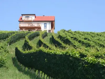 Ferienhaus für 9 Personen (220 m²) in Sankt Anna am Aigen 9/10