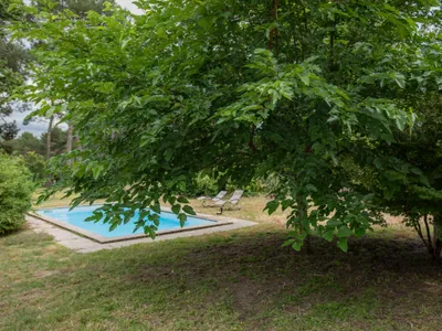 Pool des Ferienhauses