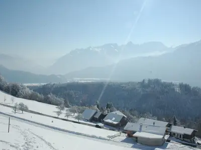 Direkte Umgebung des Objekts. Blick von oben auf die Häusergruppe
