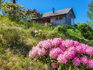 Ferienhaus für 4 Personen (62 m²)