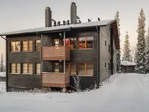 Ferienhaus für 4 Personen (46 m²) in Ruka
