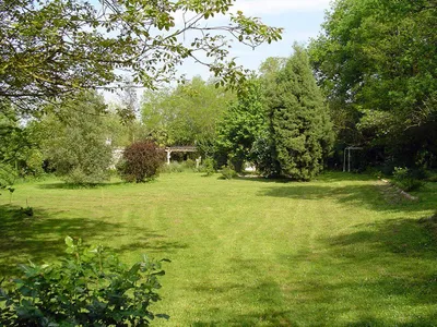 Bild 5 Bild 5