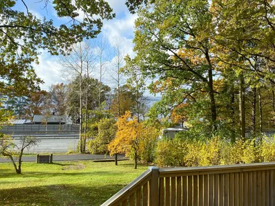 view-from-room