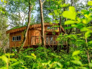 Ferienhaus für 4 Personen (50 m²) in Hoogersmilde