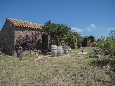 Ferienhaus für 4 Personen (50 m²) in Trinità d'Agultu 2/10