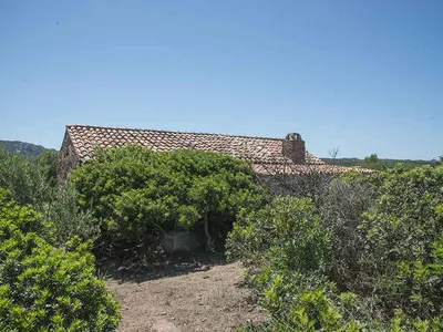 Ferienhaus für 4 Personen (50 m²) in Trinità d'Agultu 10/10