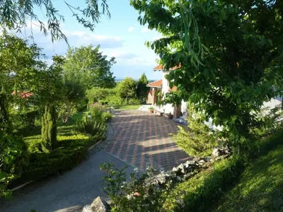 Bild 7