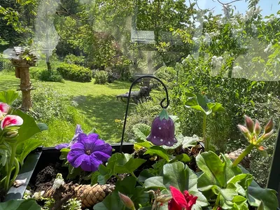 Ferienhaus für 2 Personen (42 m²) in Zella-Mehlis 2/10